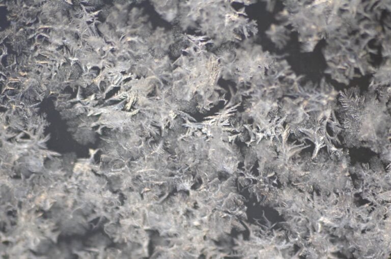 Discover California's Fractal Nature: Unveiling Self-Similar Beauty in Landscapes