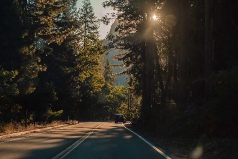 The Ultimate California Road Trip: Planning Your Dream Golden State Adventure