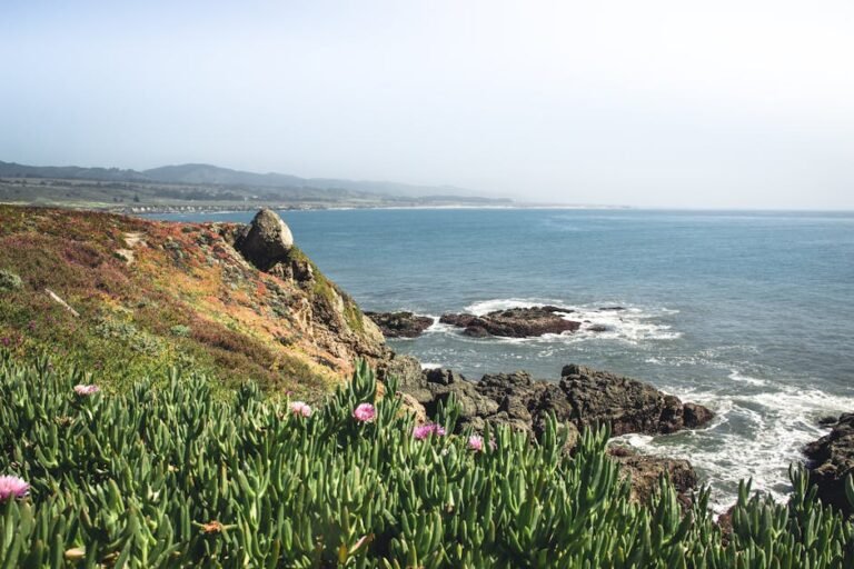 Your Ultimate California Travel Guide: Exploring Iconic Landscapes & Adventures