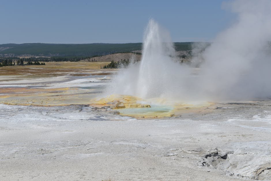 Yellowstone National Park Guide: Exploring Geysers, Hot Springs & Wildlife