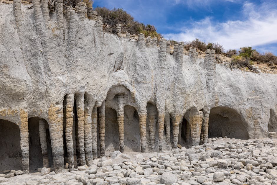 10 Unique California Experiences Beyond the Expected