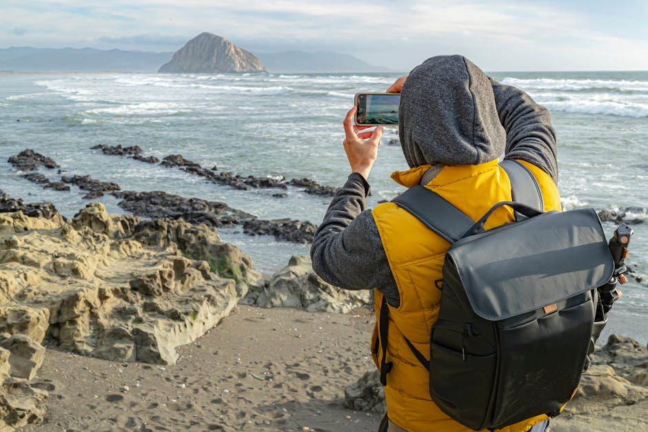 9 Essential Tools & Tips for Your Ultimate California Adventure