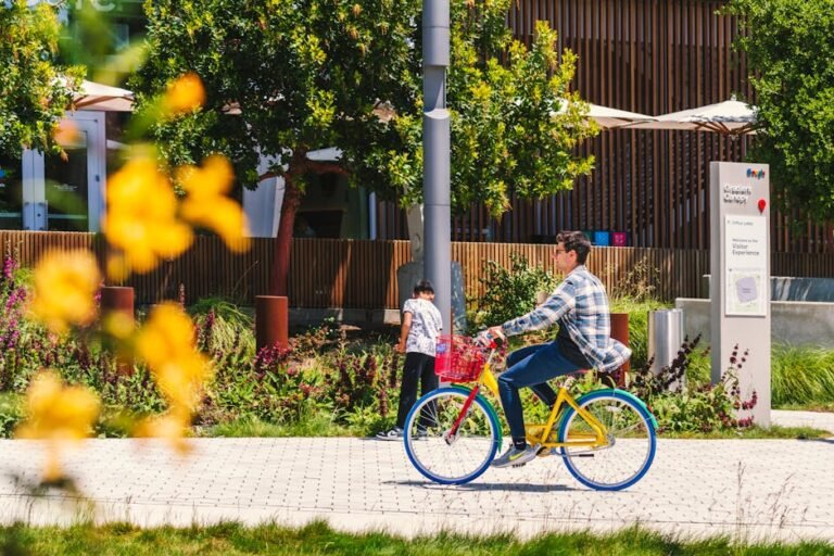 Discover Silicon Valley: Larry Ellison's Oracle Legacy & California Tech Innovation