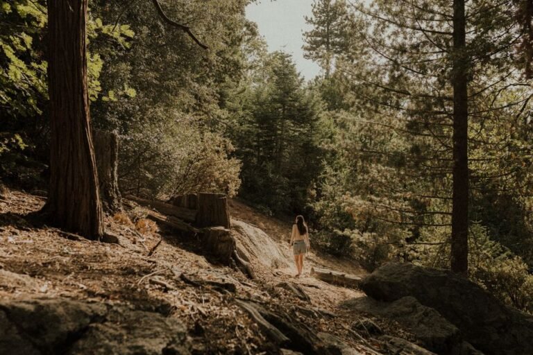 California's Cycles of Renewal: Exploring Nature, History, and Personal Awakening