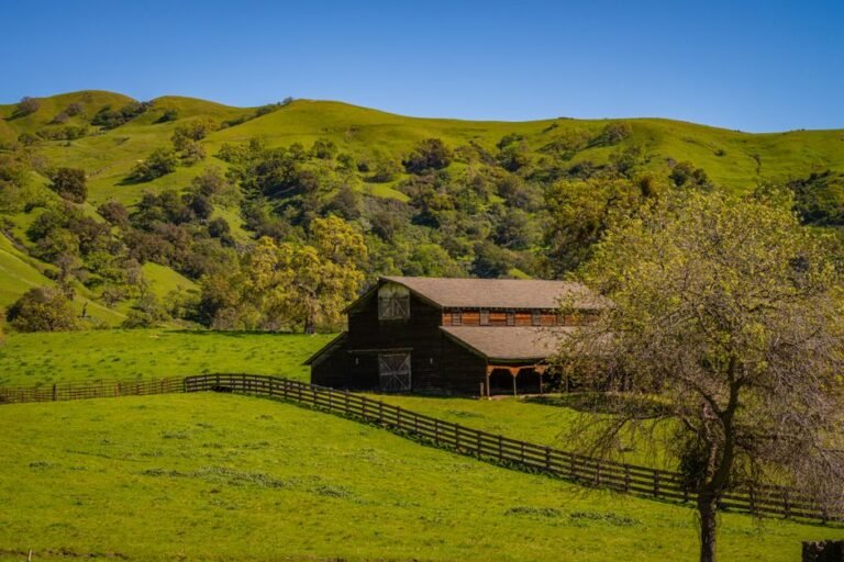 Neverland Ranch: Exploring Michael Jackson's Iconic California Estate and Its Legacy