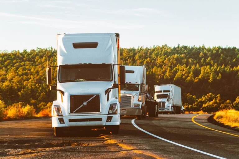 American vs. European Trucks: Unpacking the Design Secrets of Big Rigs on California Roads